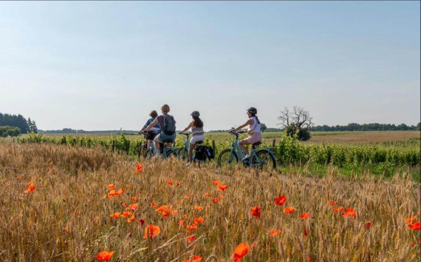 Appartement De Campagne Le Petit Pré